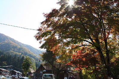 紅葉も綺麗でした