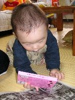 じっとみてみる