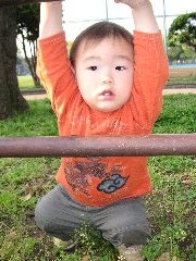 柵
