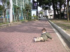 こけた