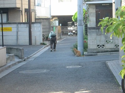 どうぞお気をつけて