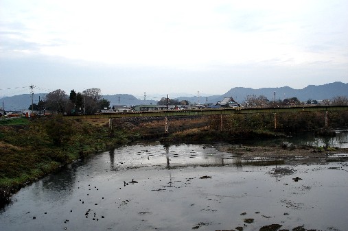 尻毛橋からの風景