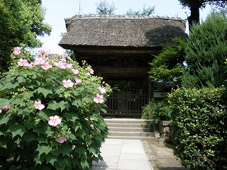 07・極楽寺.jpg