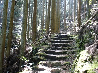 07・登山道.jpg