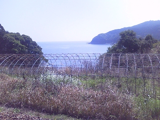 波田須駅より