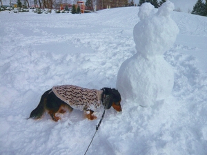 雪だるま.jpg