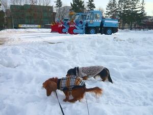 除雪車.jpg