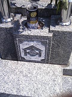 見慣れぬ