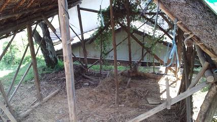 安全につぶしてもらう