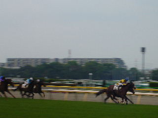 東京８Ｒ