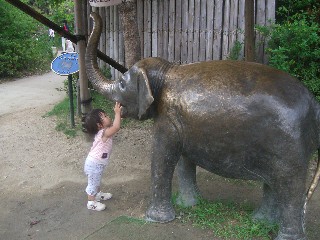 動物園　３