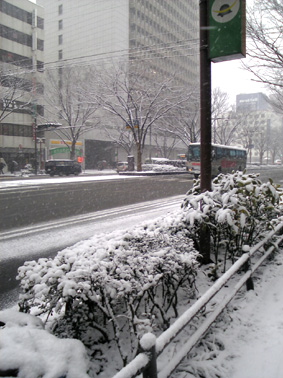 070202青葉通り