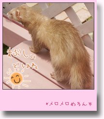 眩しい.jpg