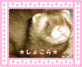 ショコラの紹介