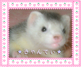 キャンディの紹介