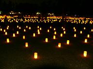 燈火会２