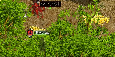ハード.JPG