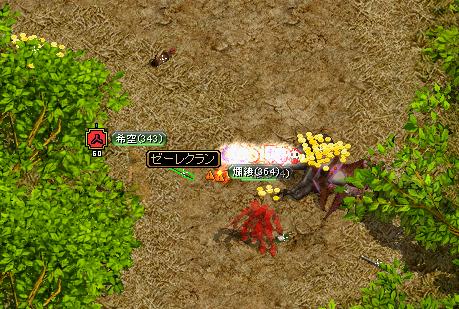 ｾﾞｰﾚｸﾗﾝ.JPG