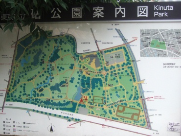 51砧公園.jpg