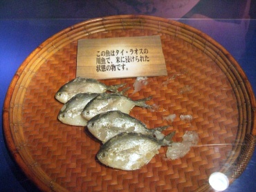 漬け川魚　鮒寿司.jpg