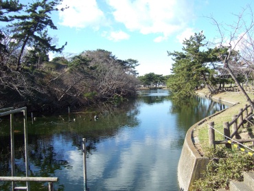 無残な富津公園１.jpg