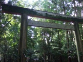 torii2.jpg