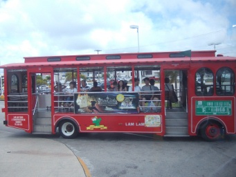 bus06.jpg