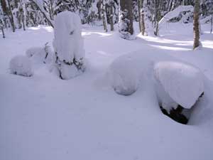 20070213変な形の雪.jpg