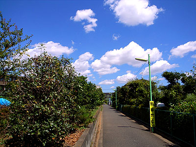 20100717夏が来た.jpg