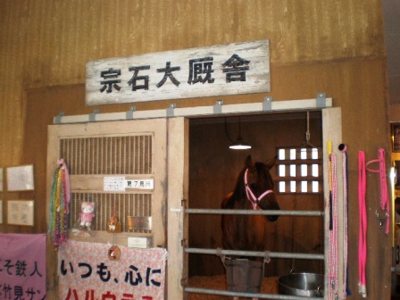 ブーム？