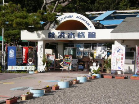 桂浜水族館
