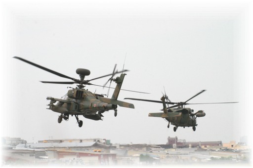 IMG_0999 アパッチ ヒリュー.jpg