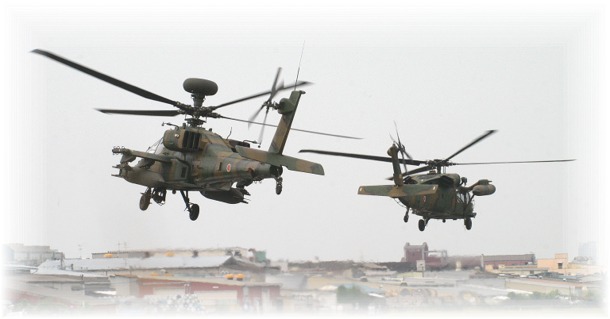 IMG_0999 アパッチ ヒリュー.jpg