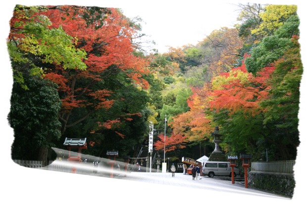 _MG_9960　ひらおか神社.JPG