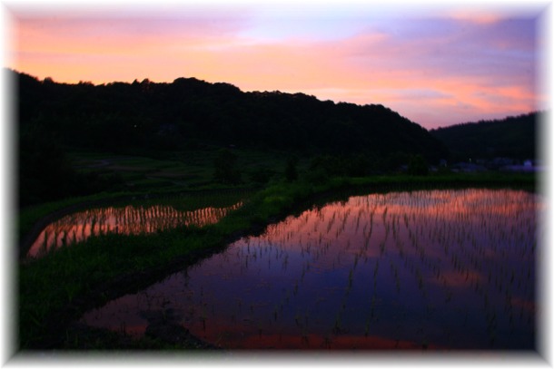 _MG_9856 水田鏡.jpg