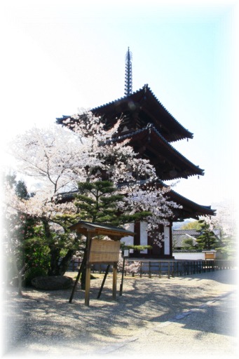 _MG_4472 法輪寺.jpg