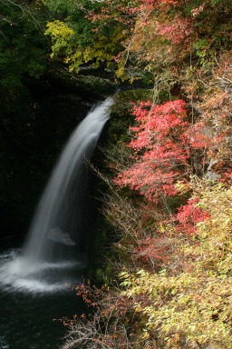 IMG_3785滝.jpg