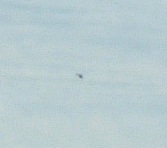 何これ？？　(-_-;)