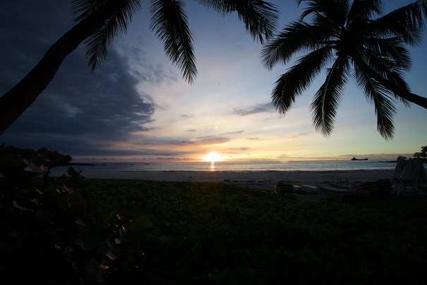 DSC00313hh.jpg