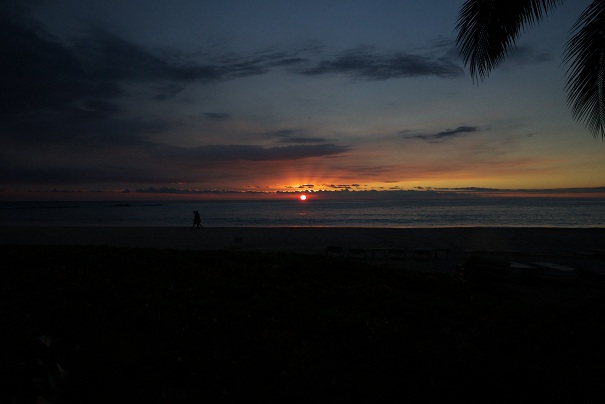 DSC00325hh.jpg