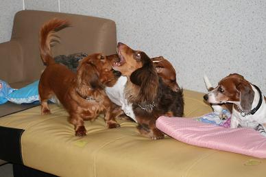 IMG_1137.JPG
