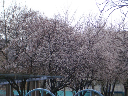 画像 048.jpg