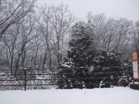 DSCF6388.JPG