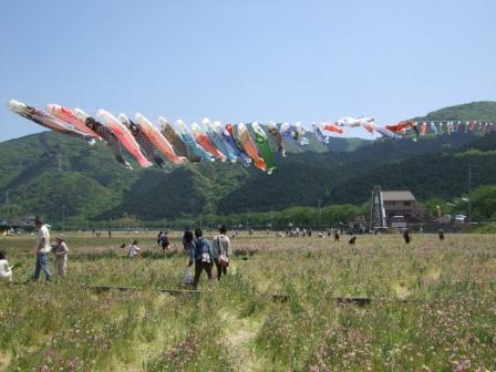 DSCF5513.JPG