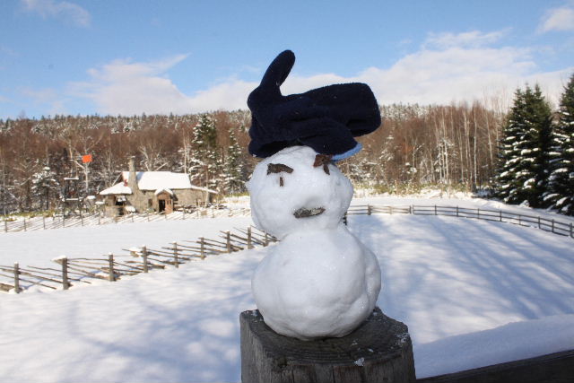 手乗り雪ダルマと五郎の石の家