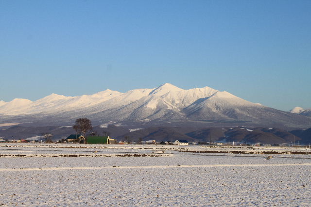 富良野市街地から見た十勝岳