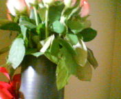 200805072121.jpg