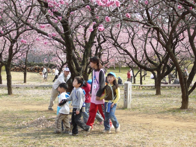 幼稚園