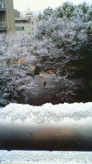 九州大学構内雪景色