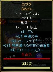 002.JPG